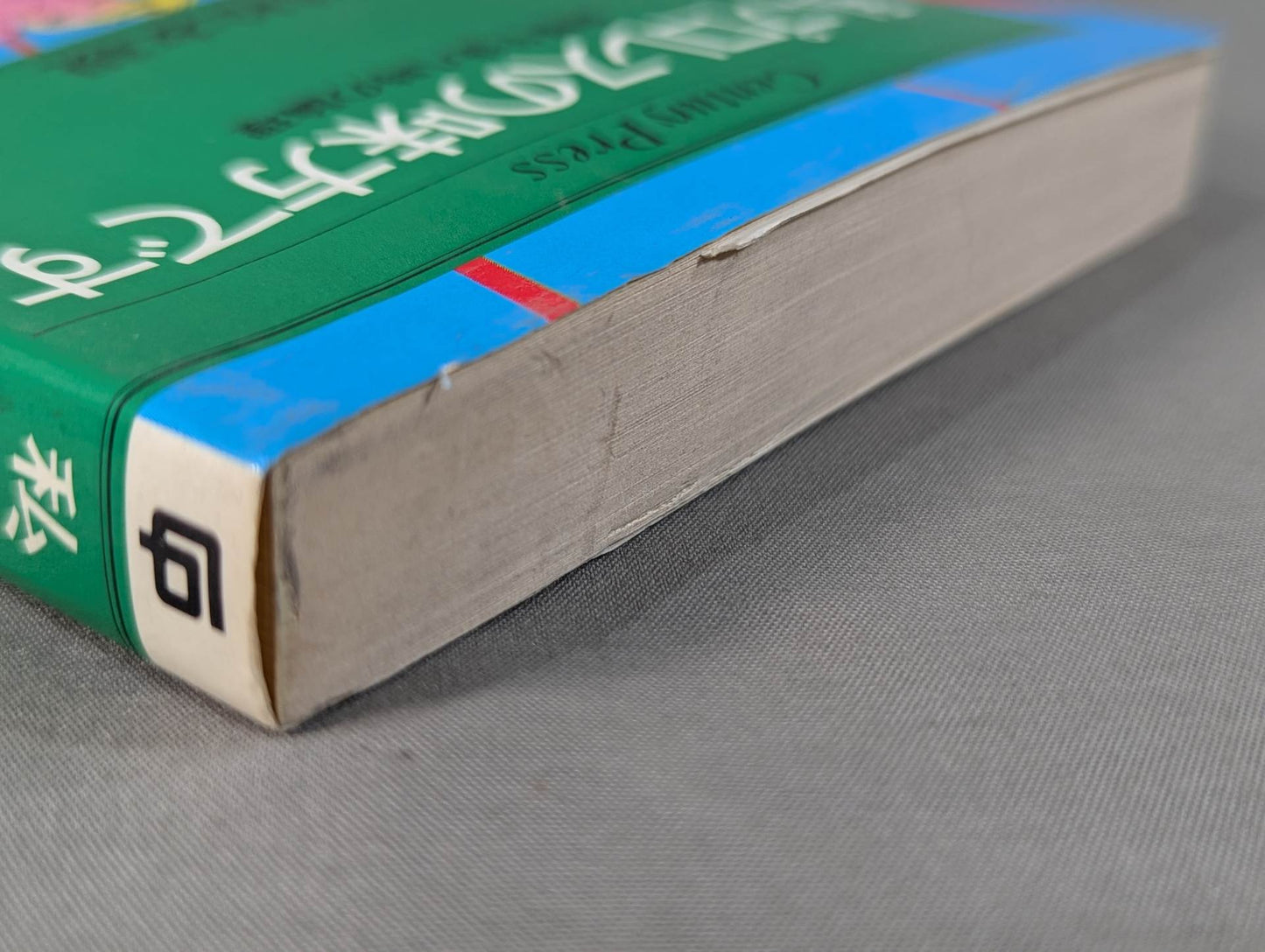 私、プロレスの味方です【最新版】金曜午後八時の論理