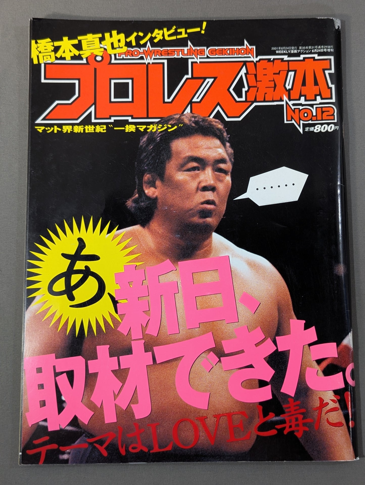 Pro Wrestling Extreme Book No.12