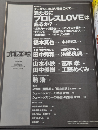Pro Wrestling Extreme Book No.12