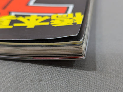 Pro Wrestling Extreme Book No.12