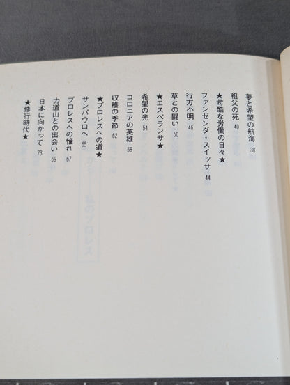 炎のメッセージ 勇気