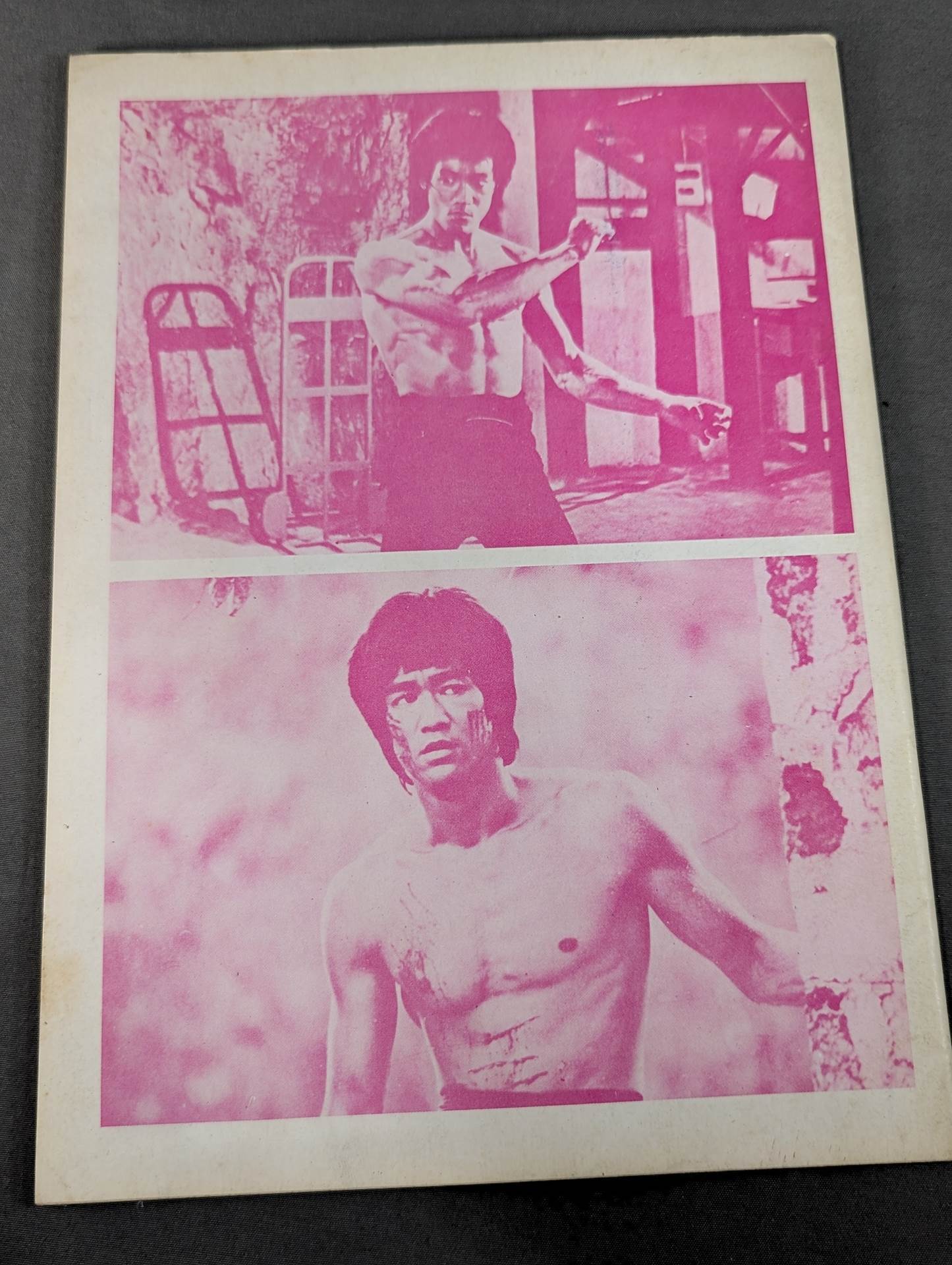 Masamoto Bruce Lee  寶鑑
