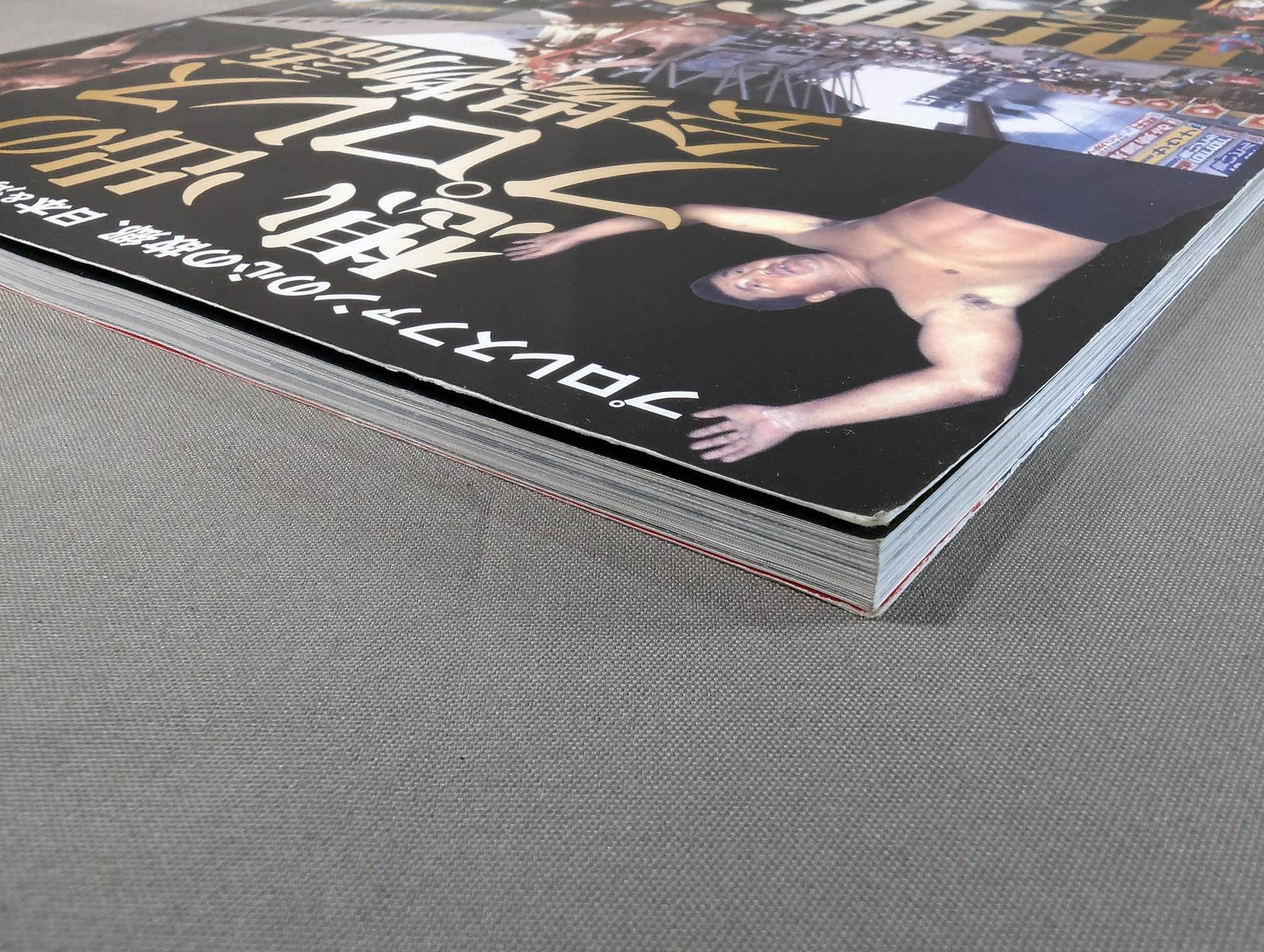 Memorable Pro Wrestling  Venue Story