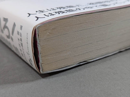 Forget PRIDE! Mikata in the new era of martial arts