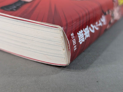 東郷見聞録 世界一周プロレス放浪記