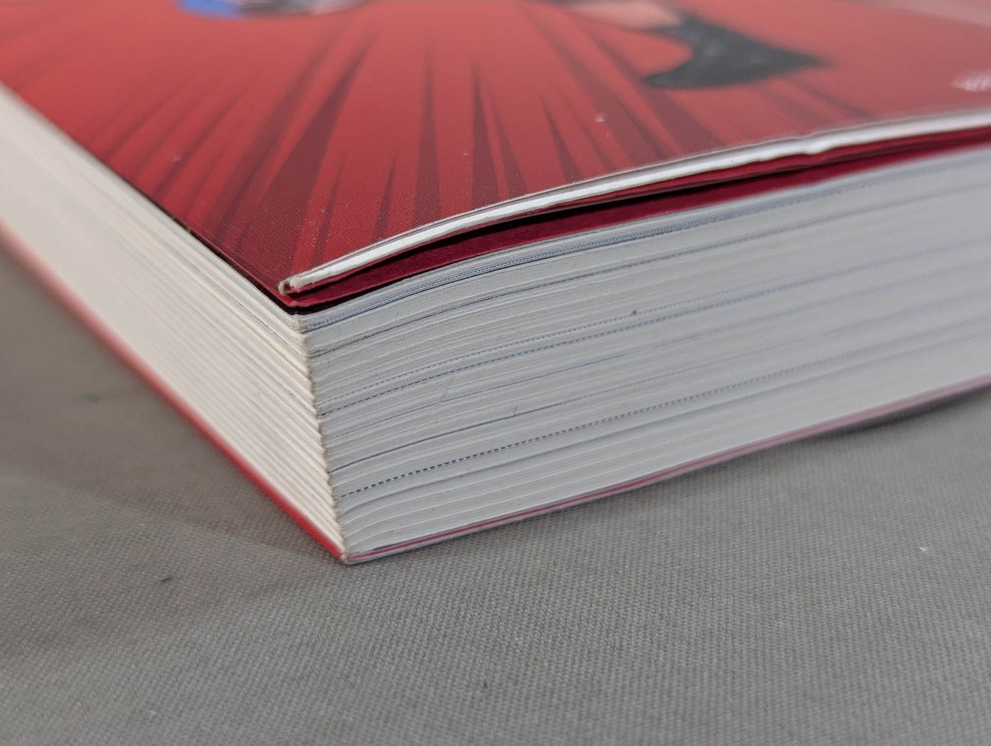 東郷見聞録 世界一周プロレス放浪記