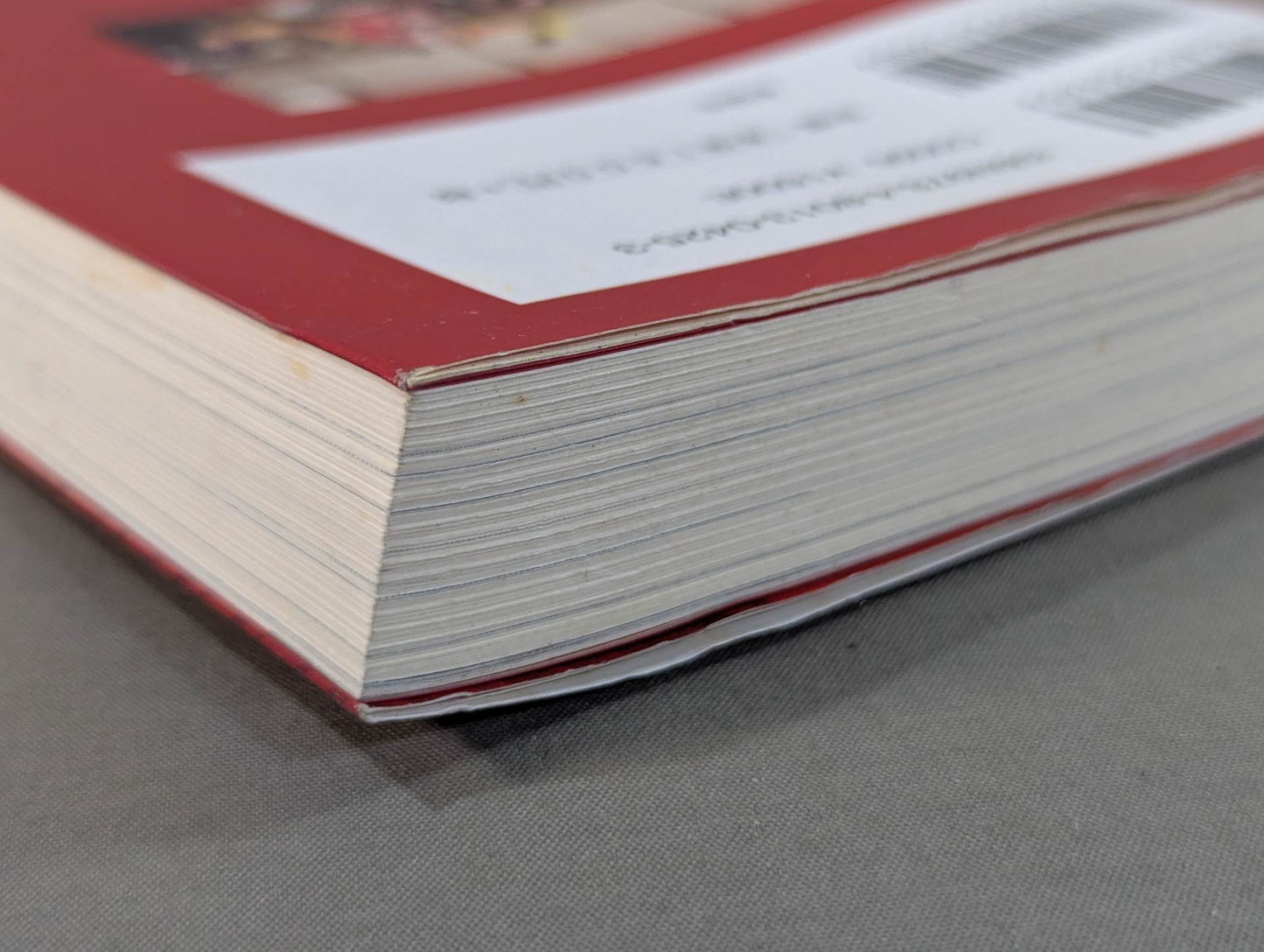 東郷見聞録 世界一周プロレス放浪記