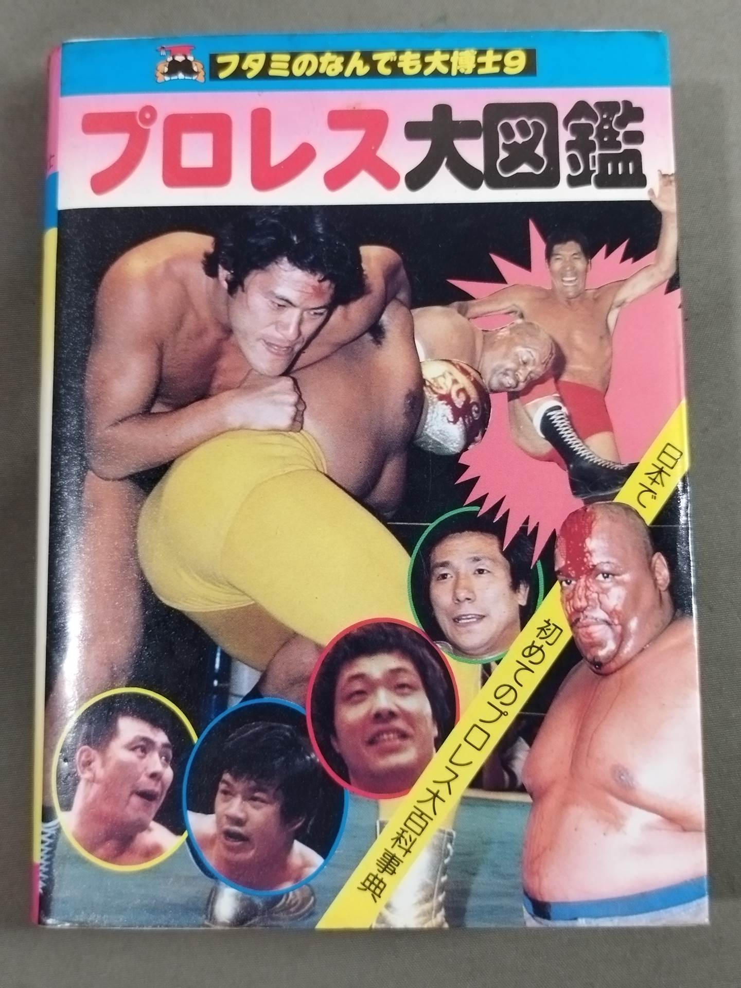 Pro Wrestling  Encyclopedia