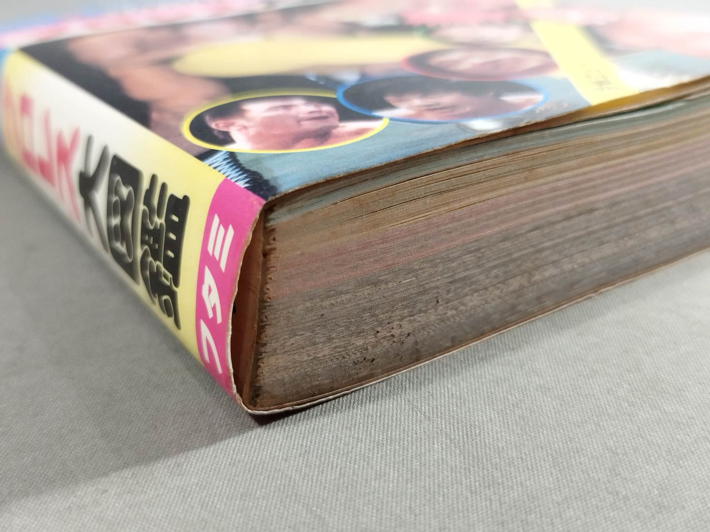 Pro Wrestling  Encyclopedia