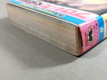 Pro Wrestling  Encyclopedia
