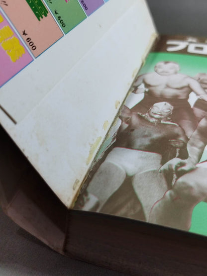 Pro Wrestling  Encyclopedia