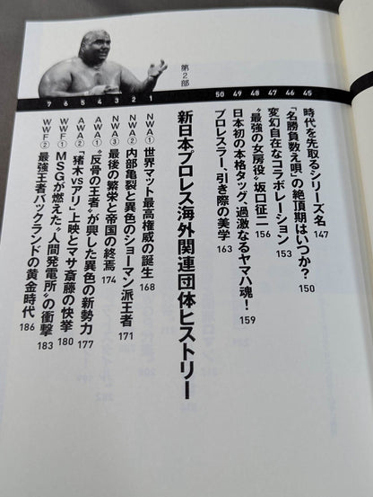 詳説 新日イズム 完全版