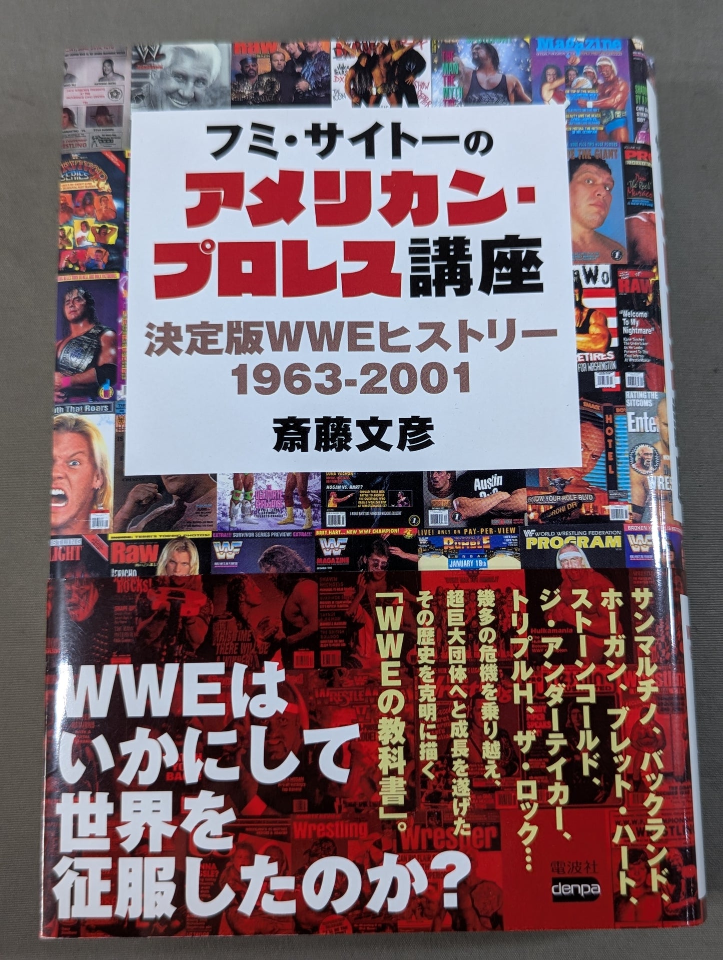 Fumi Saito's American Pro Wrestling Course Definitive WWE History 1963-2001
