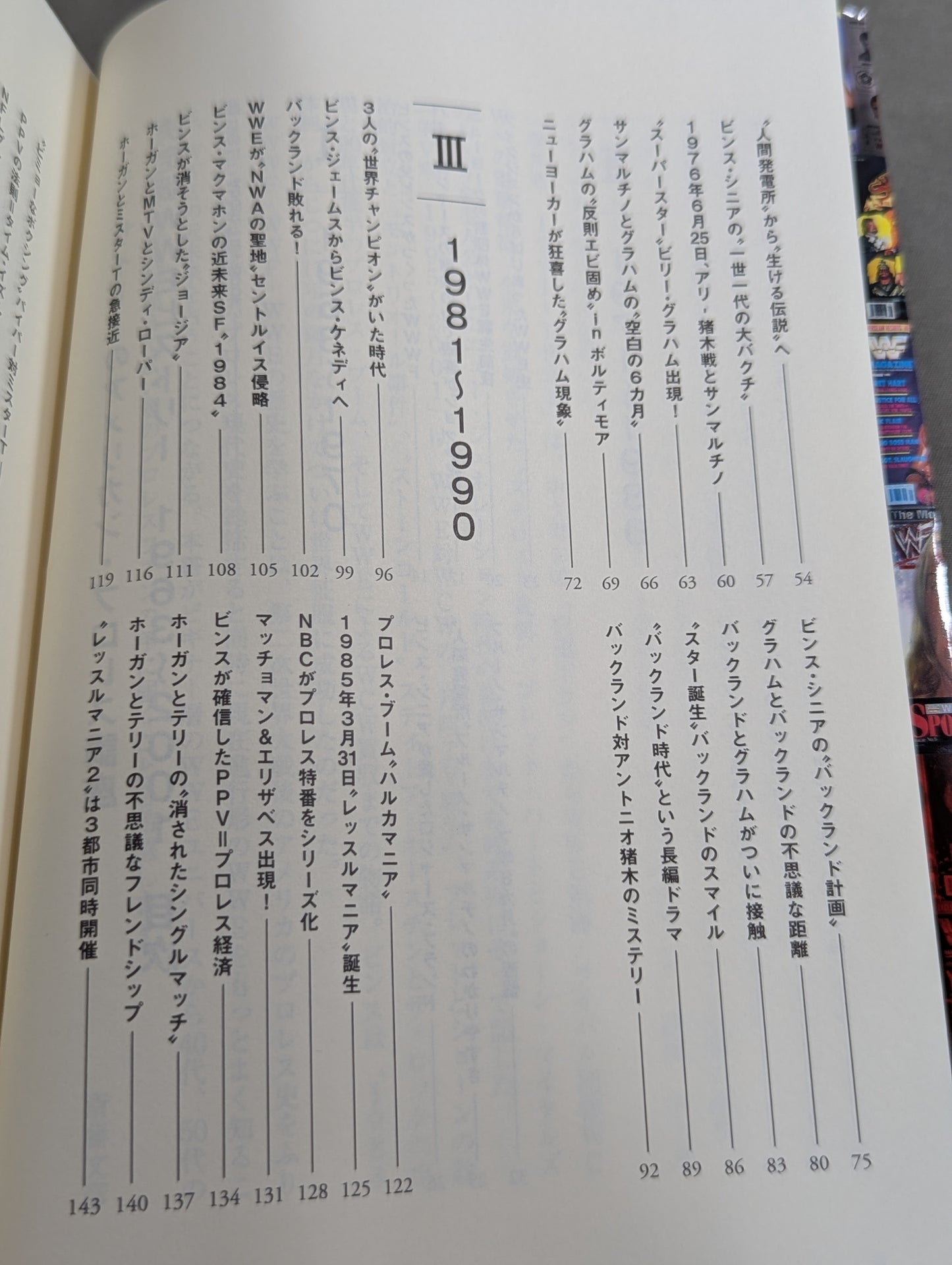 Fumi Saito's American Pro Wrestling Course Definitive WWE History 1963-2001