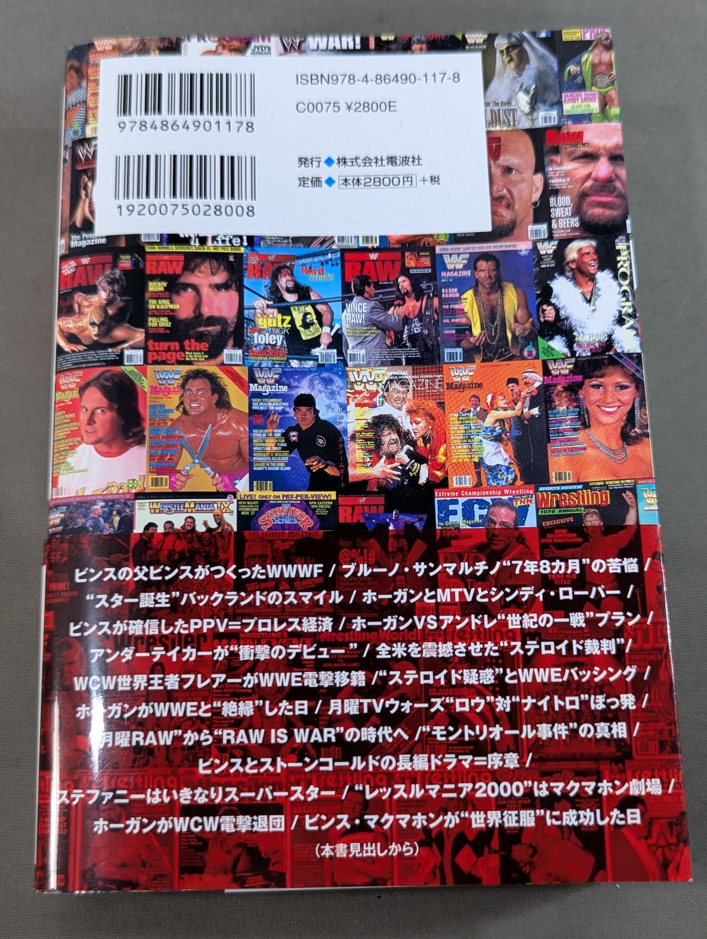 Fumi Saito's American Pro Wrestling Course Definitive WWE History 1963-2001