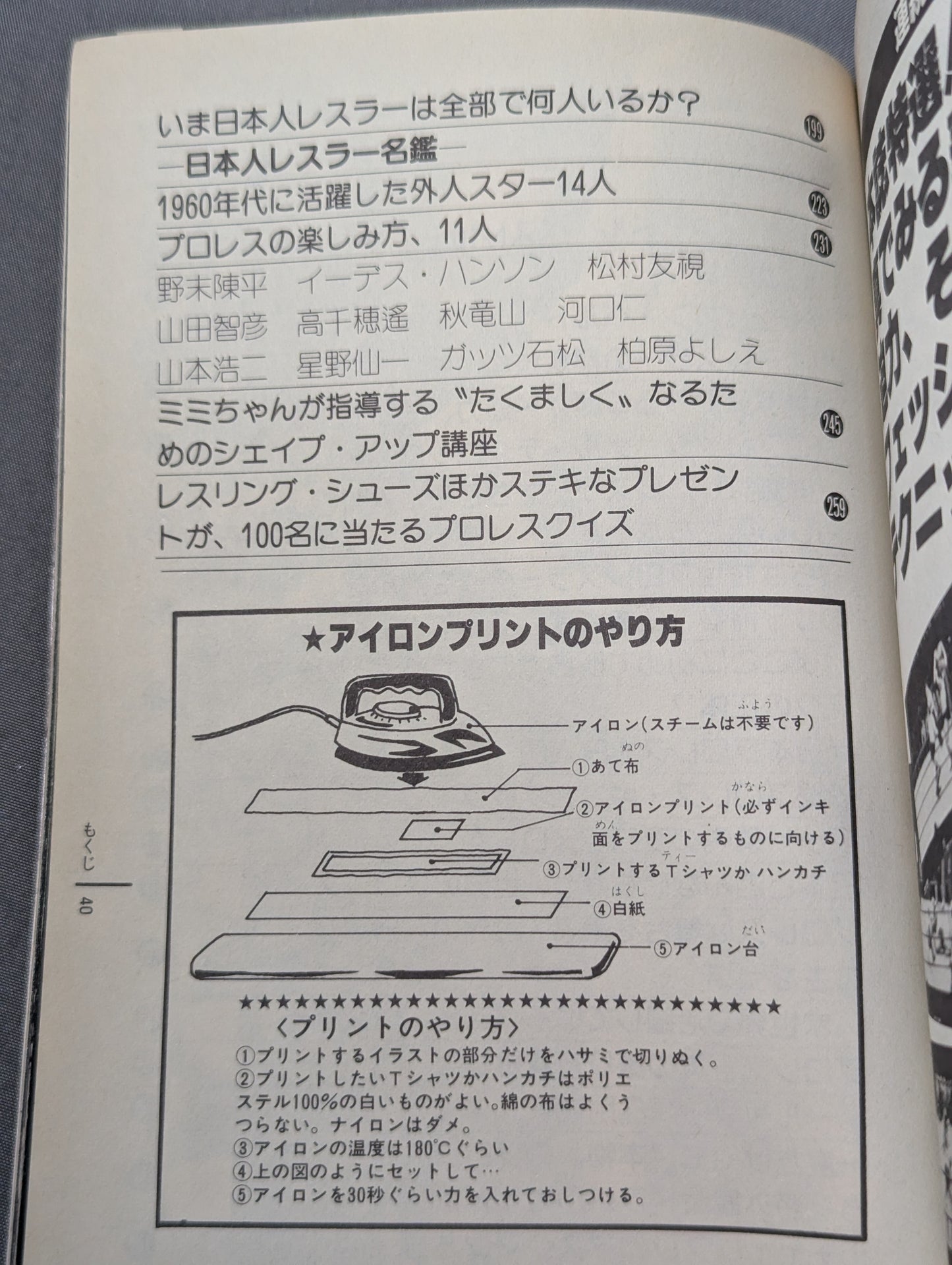 プロレス・オールガイドブック① プロレスの楽しみ方おしえます