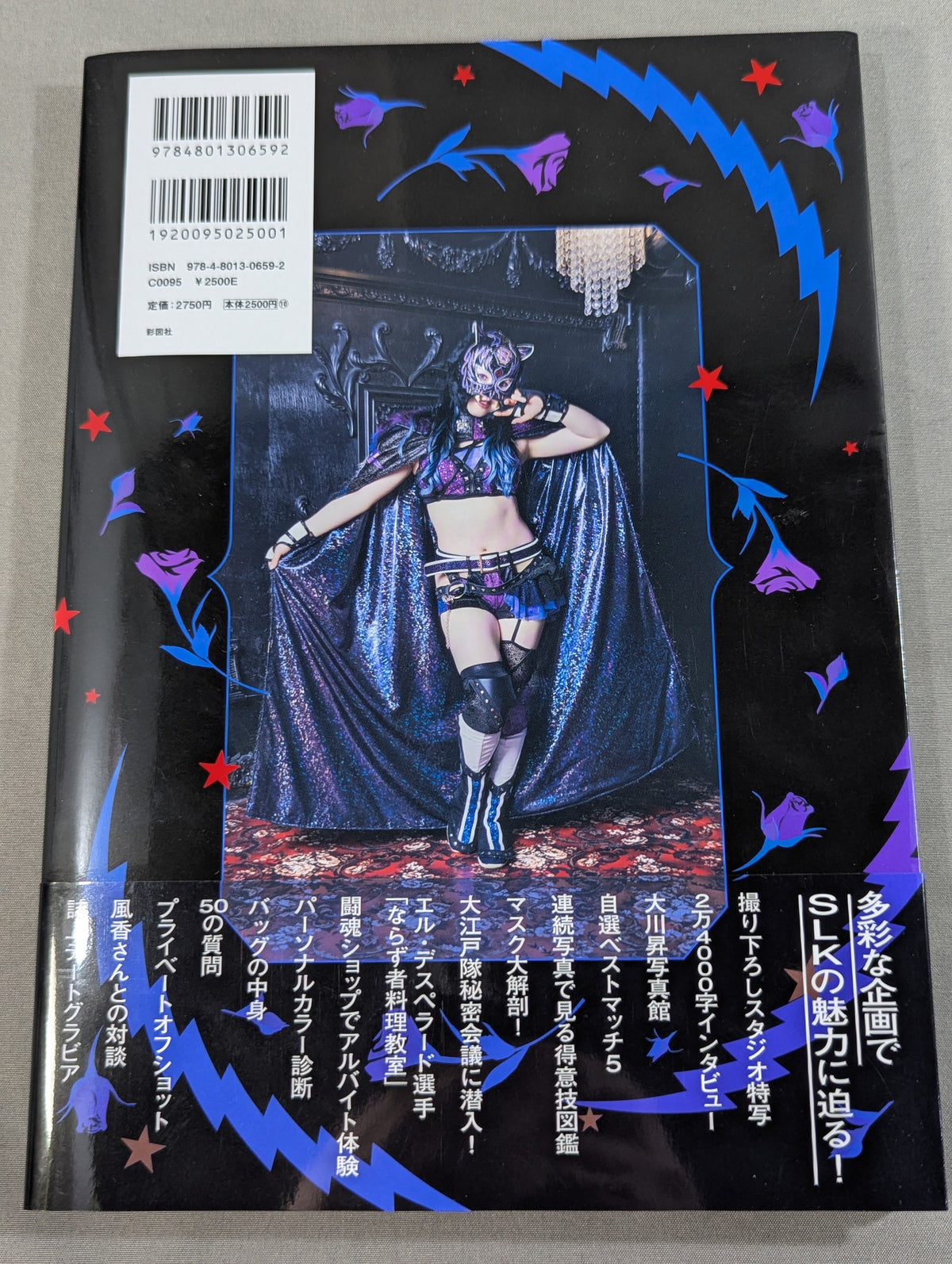 STARLIGHT KID STYLE BOOK / SLK STYLE