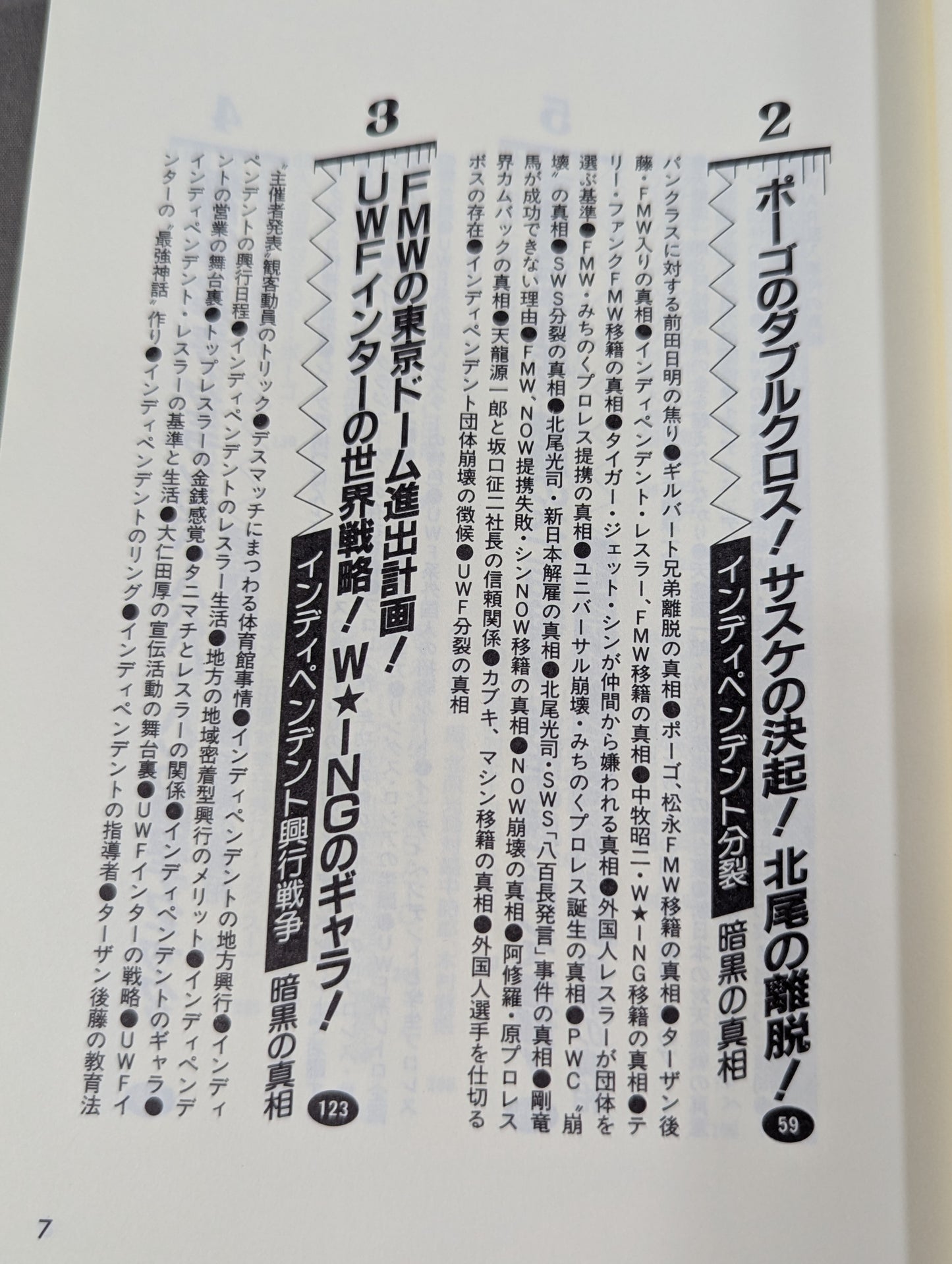 Pocket Book 62 Atsushi Onita  UWF "Darkness The Truth About Pro Wrestling