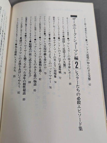 続・プロレスを10倍楽しく見る方法