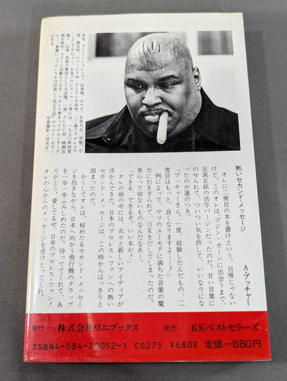 続・プロレスを10倍楽しく見る方法