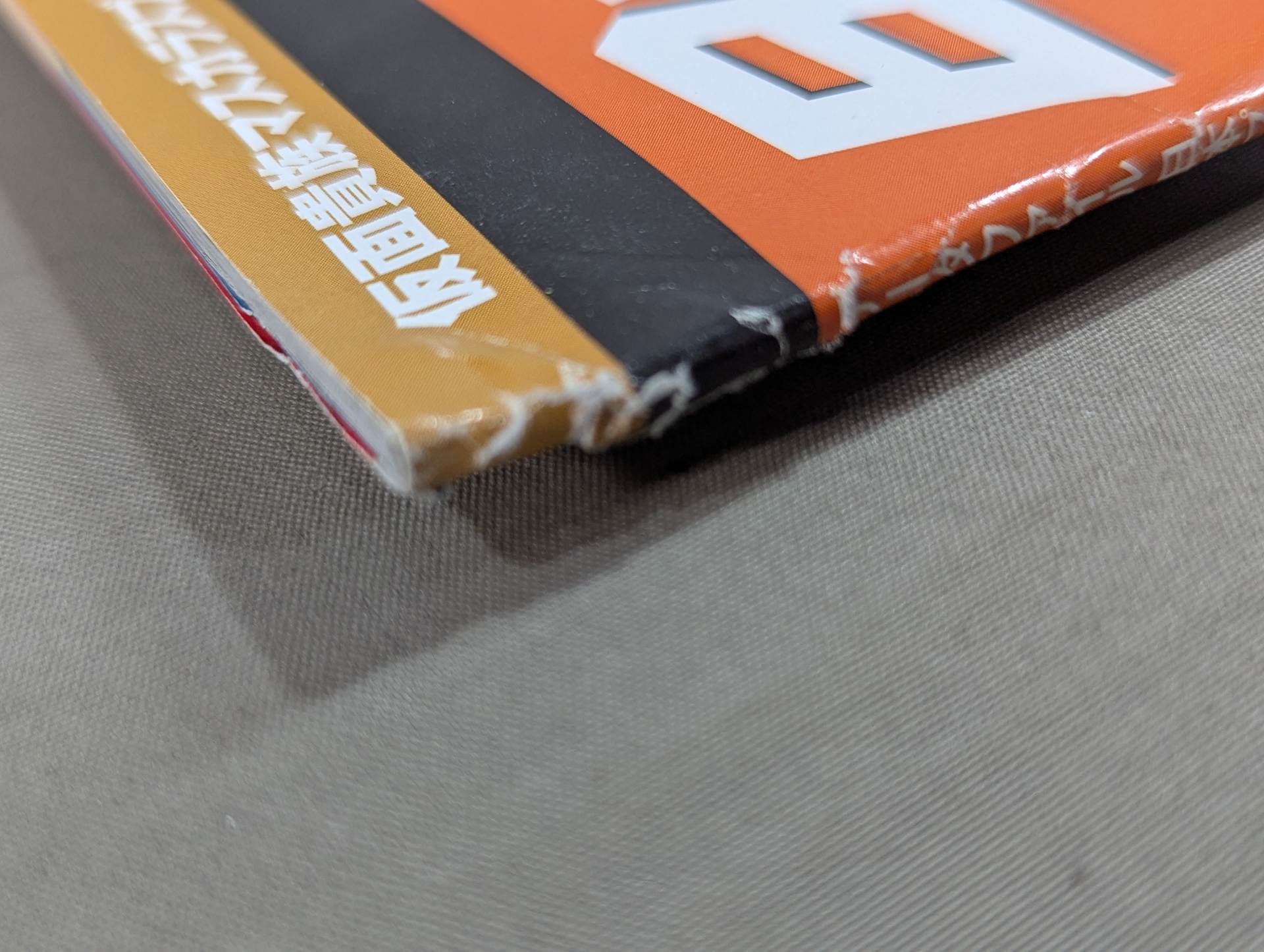 日本プロレス激闘60年史 (51) – 闘道館