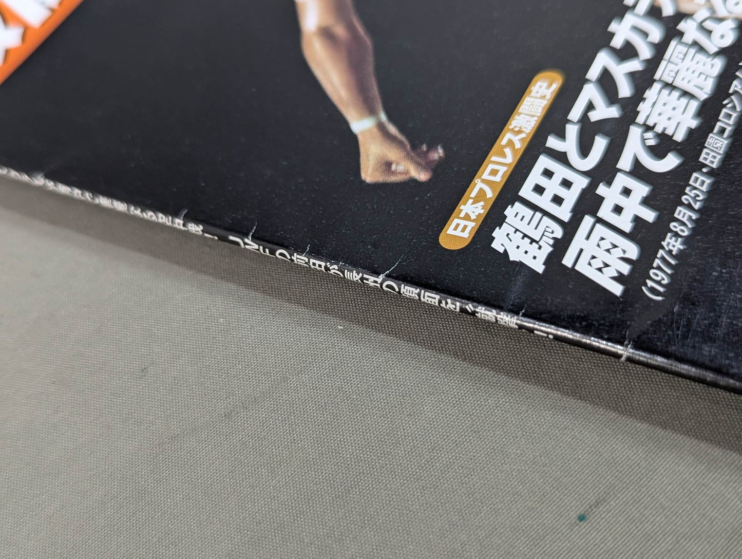 Japan Pro Wrestling  60 Years of Fierce Battle (51)