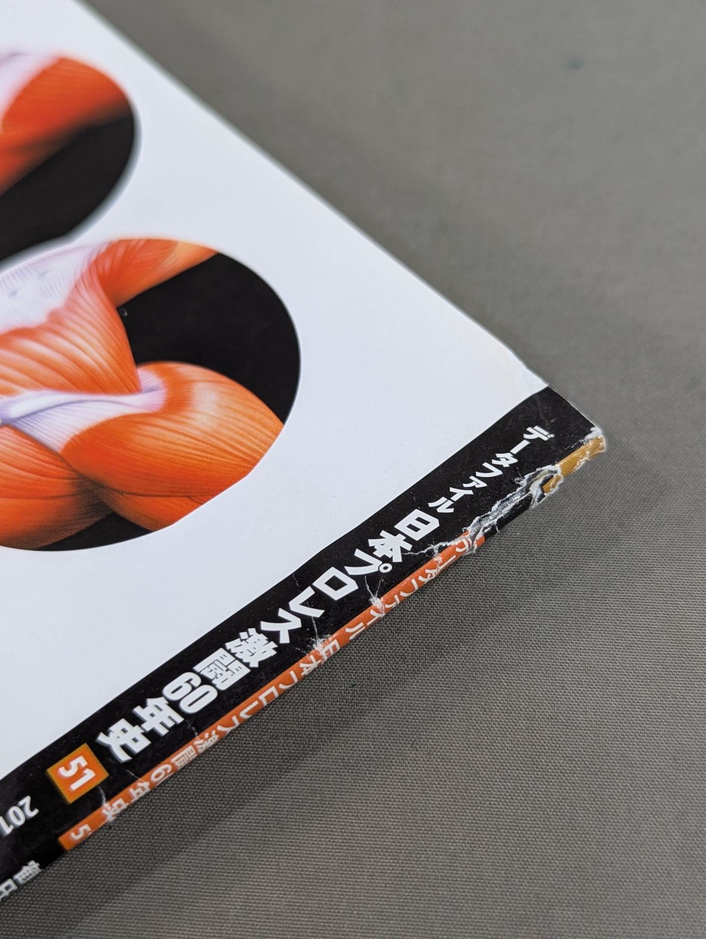 日本プロレス激闘60年史　1〜60巻　専用ファイル2個付 日本プロレス激闘60年史 1〜60巻 専用ファイル2個付 日本プロレス