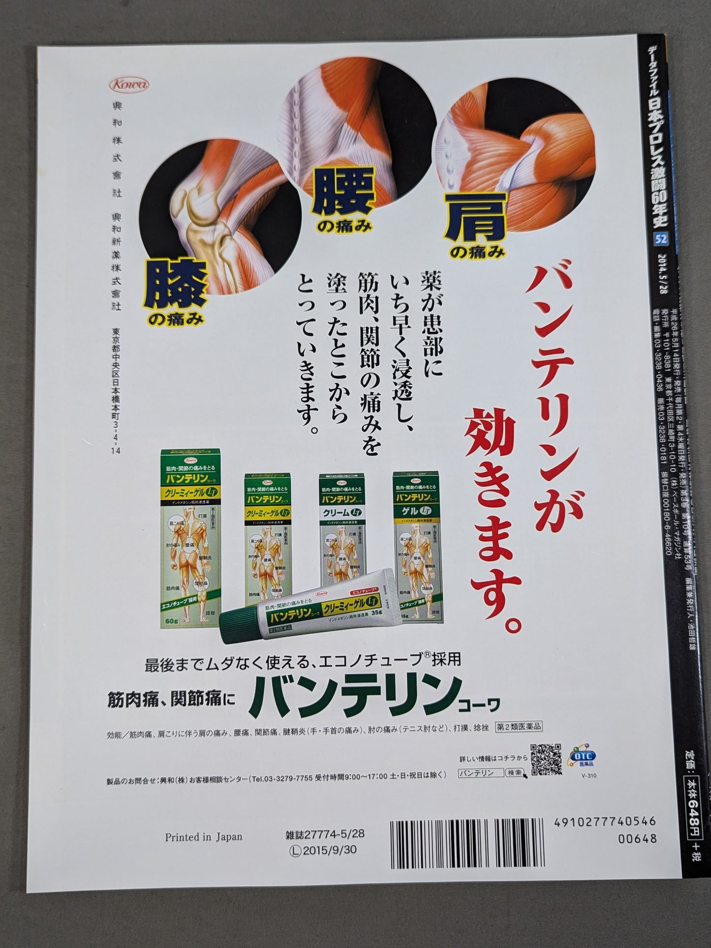 Japan Pro Wrestling 60 Years of Fierce Battle (52)