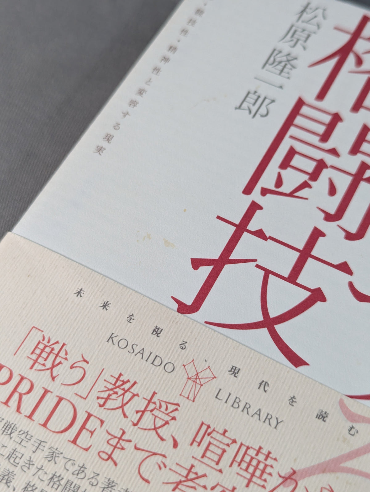 Thinking Martial Arts: Practicality, Competitiveness, Spirituality, and Transforming Reality