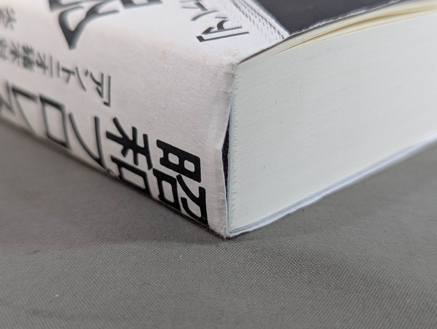 Showa Pro Wrestling  Forbidden Fight "Antonio Inoki  vs. Strong Kobayashi ignited a Japan showdown