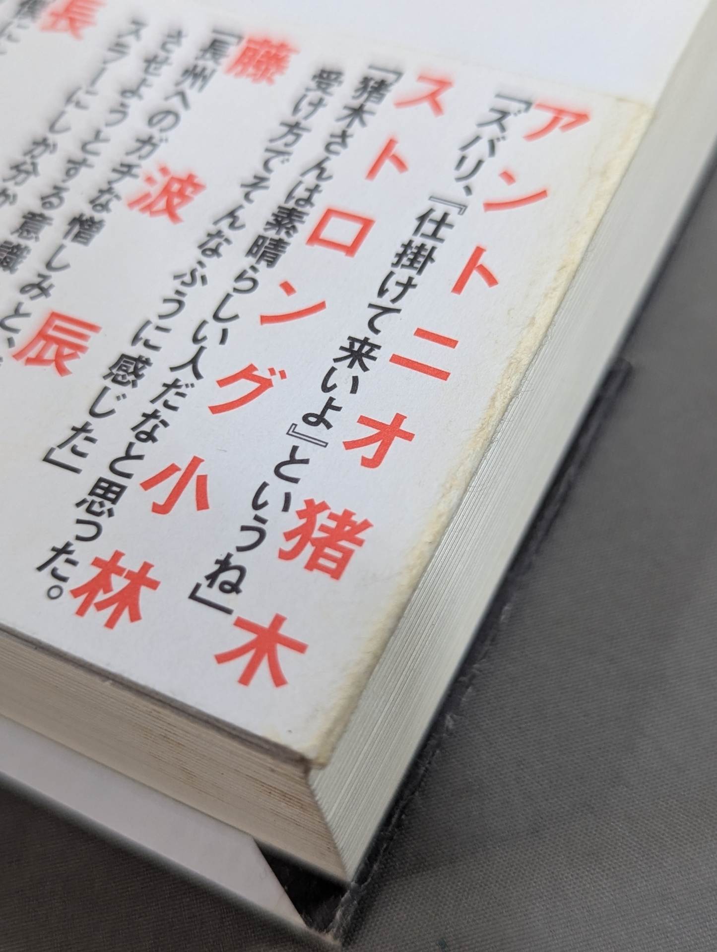 Showa Pro Wrestling  Forbidden Fight "Antonio Inoki  vs. Strong Kobayashi ignited a Japan showdown
