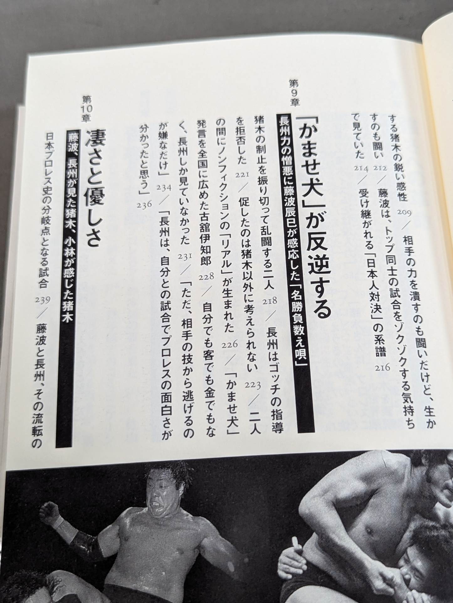 Showa Pro Wrestling  Forbidden Fight "Antonio Inoki  vs. Strong Kobayashi ignited a Japan showdown