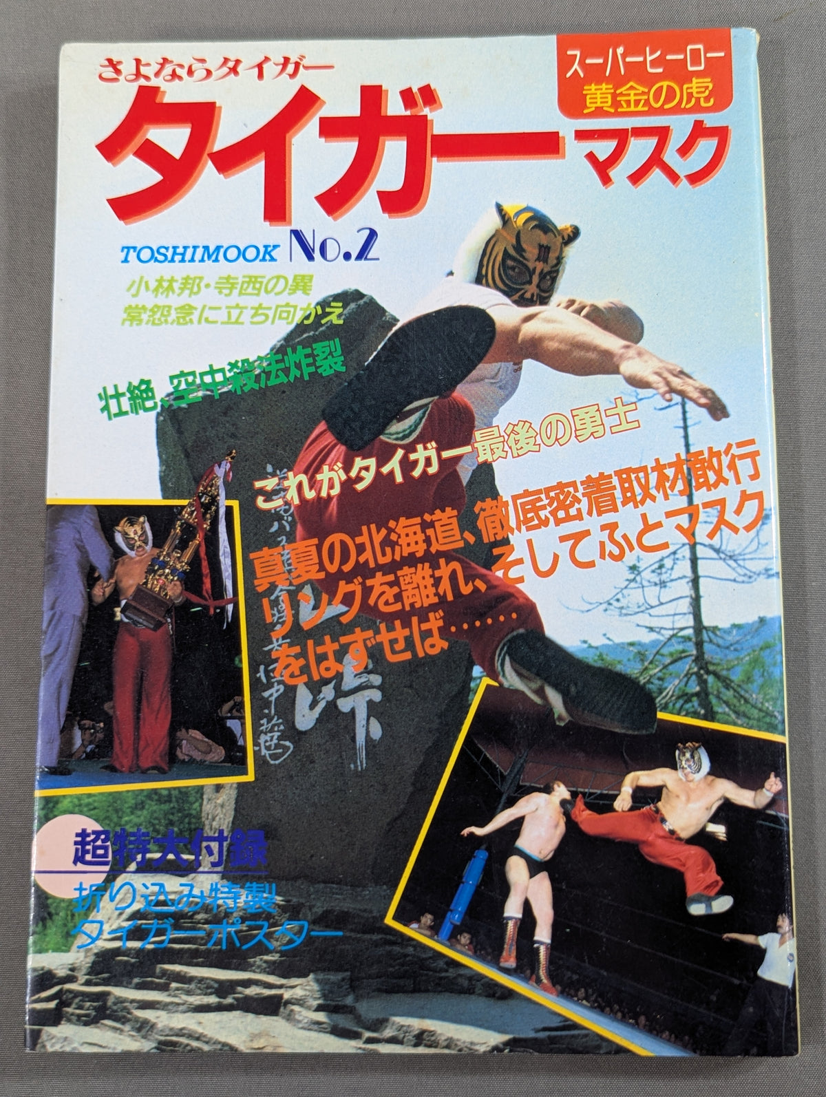 Goodbye Tiger Mask