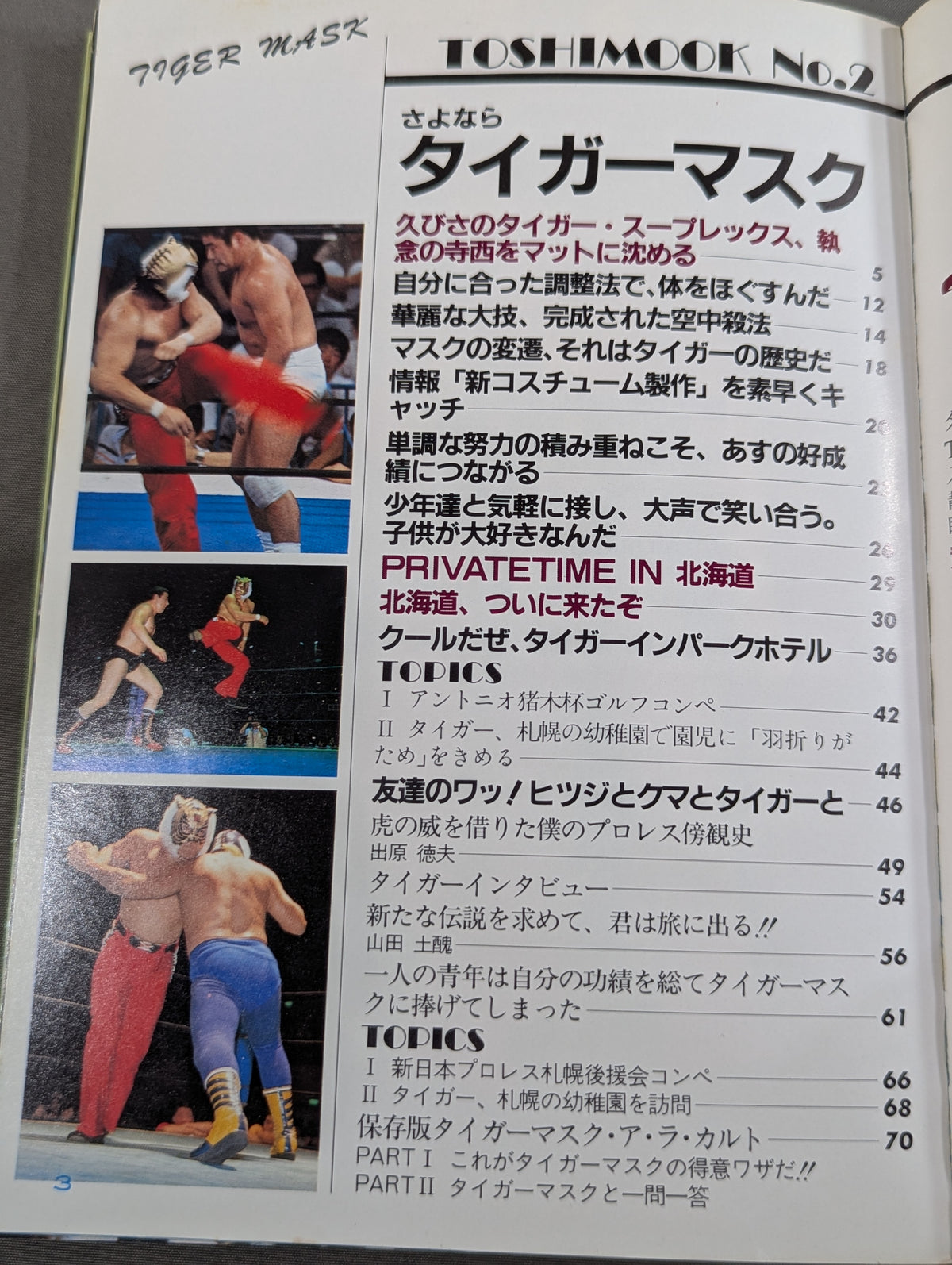 Goodbye Tiger Mask