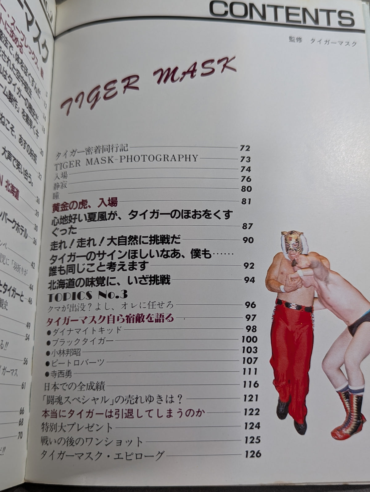 Goodbye Tiger Mask
