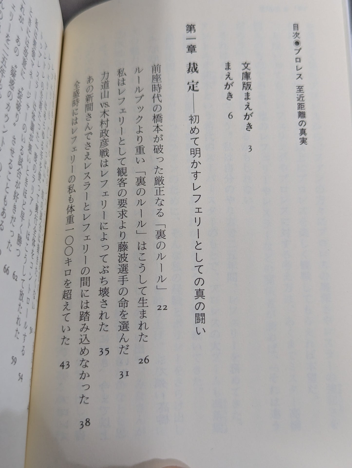 プロレス 近距離の真実  レフェリーだけが知っている表と裏