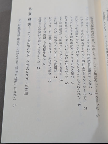 プロレス 近距離の真実  レフェリーだけが知っている表と裏