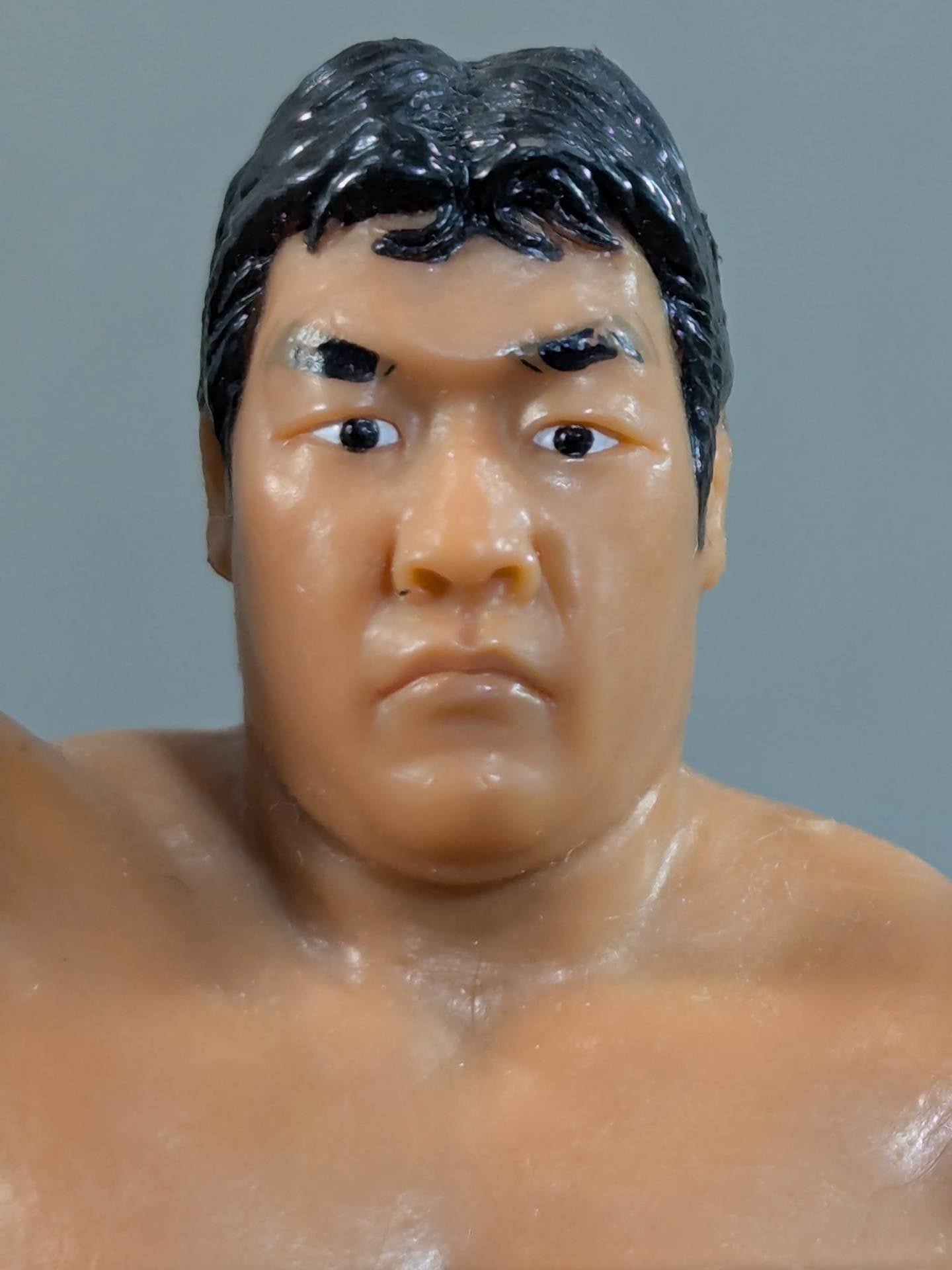 ジャンボ鶴田 – 闘道館