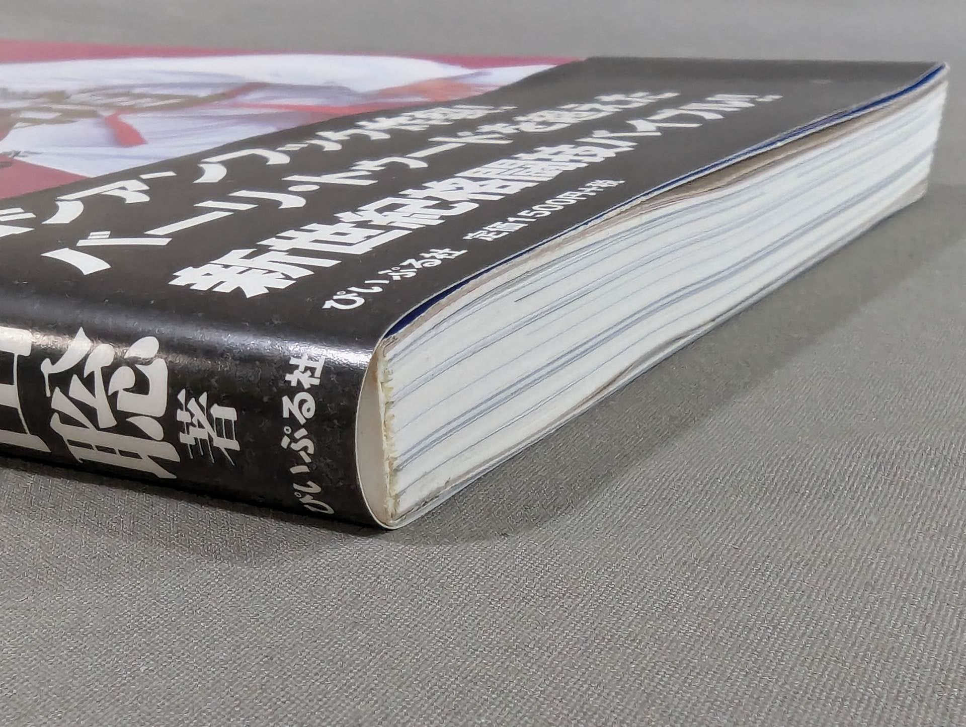 初版❗絶版❗佐山聡 製圏道 護身 最強のリアルテクニック 2冊セット