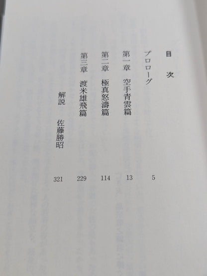 Samurai Fist KARATE World's Blue Wolf Miyuki Miura's Fierce Battle Score