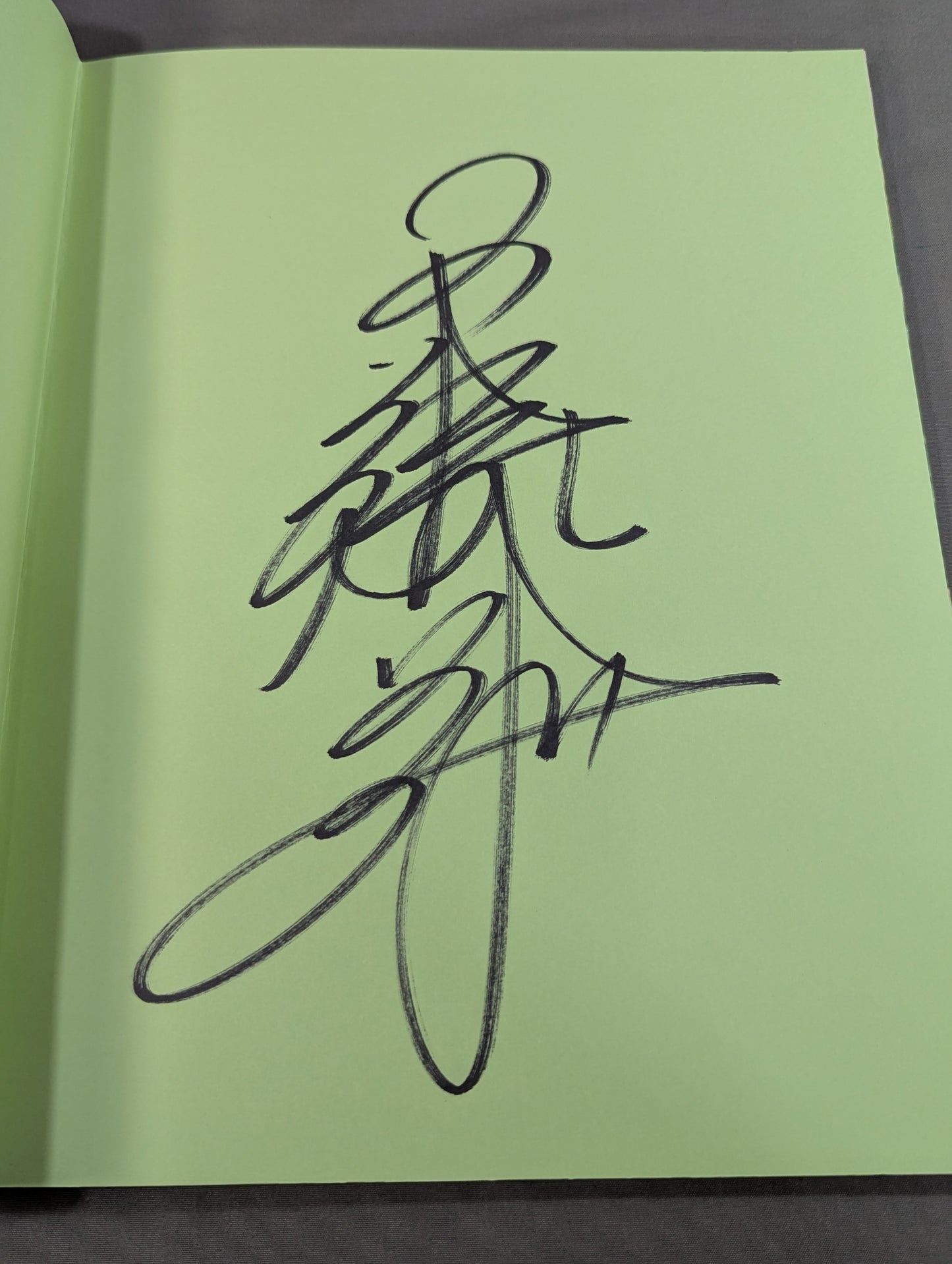 【直筆サイン入り】工藤めぐみ 写真集 Body Message