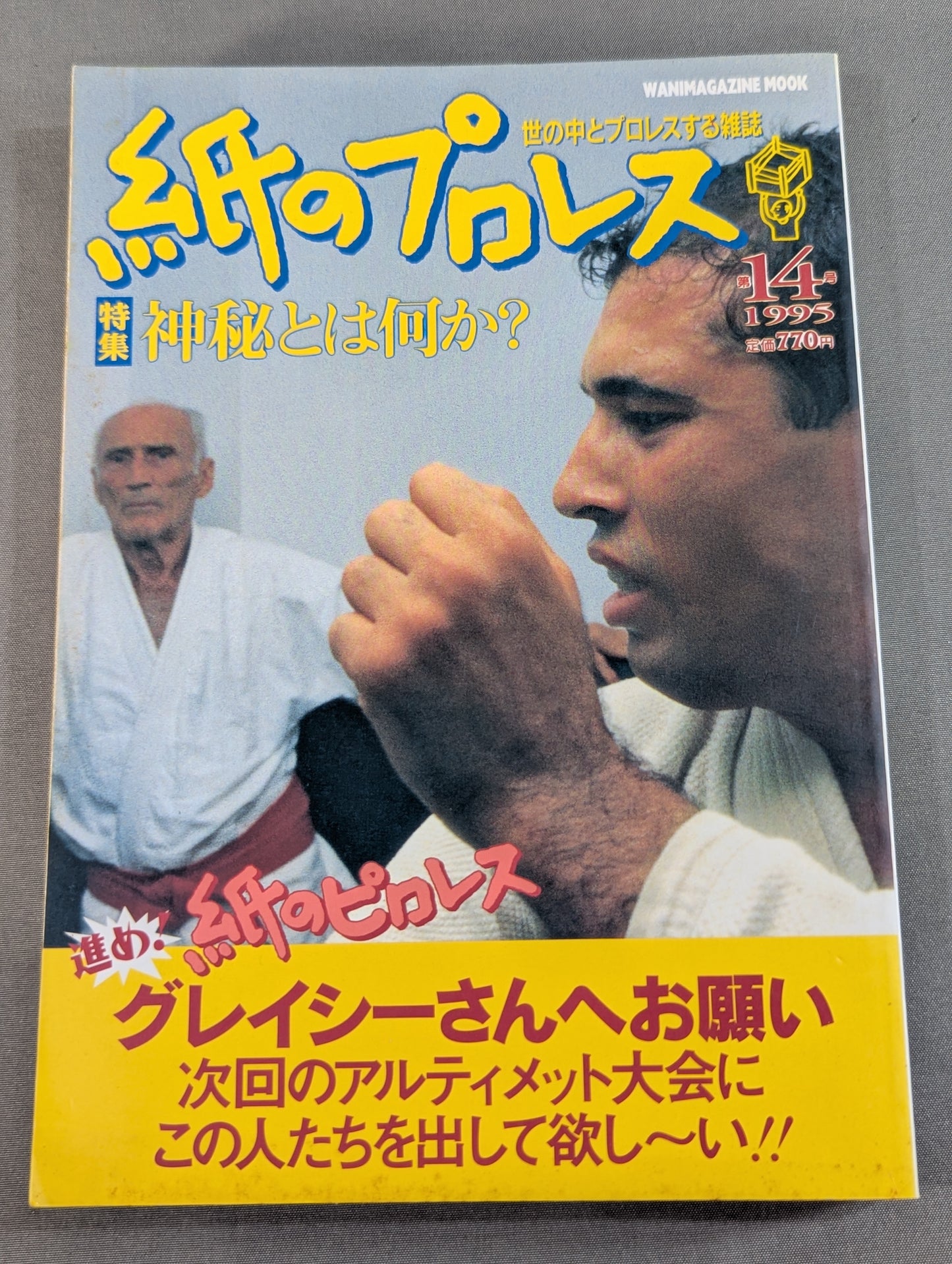 紙のプロレス14