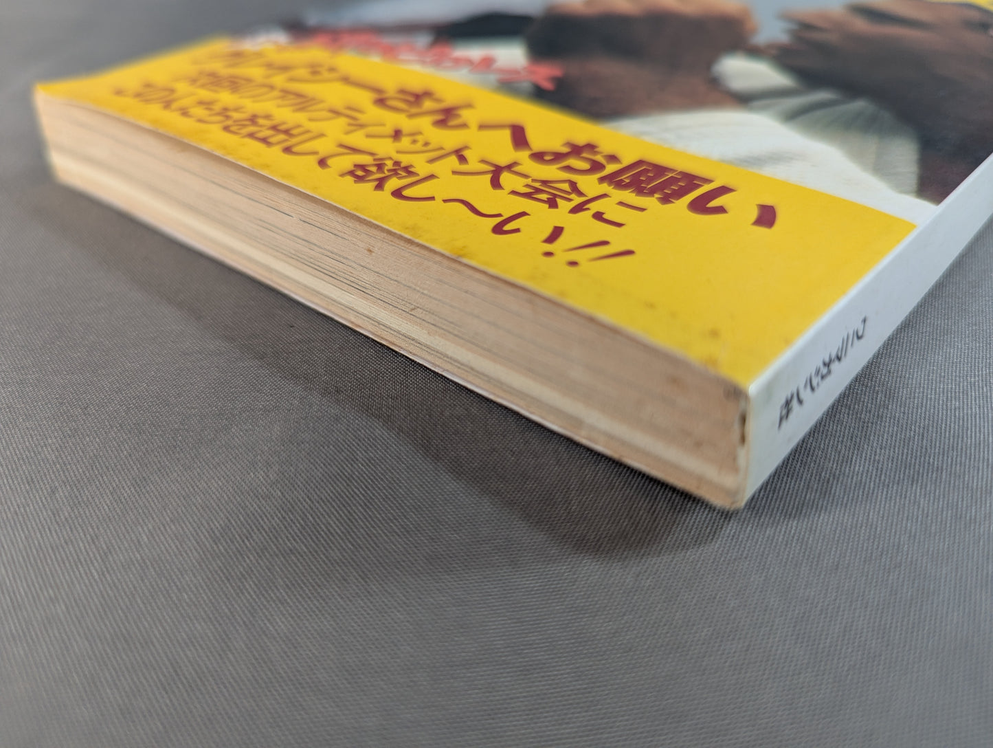 紙のプロレス14