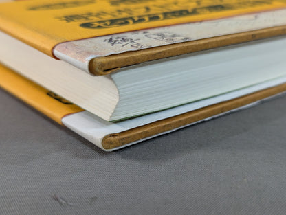 Former Onaruto Oyakata Matchmaker ~Sumo Association One Sword ~