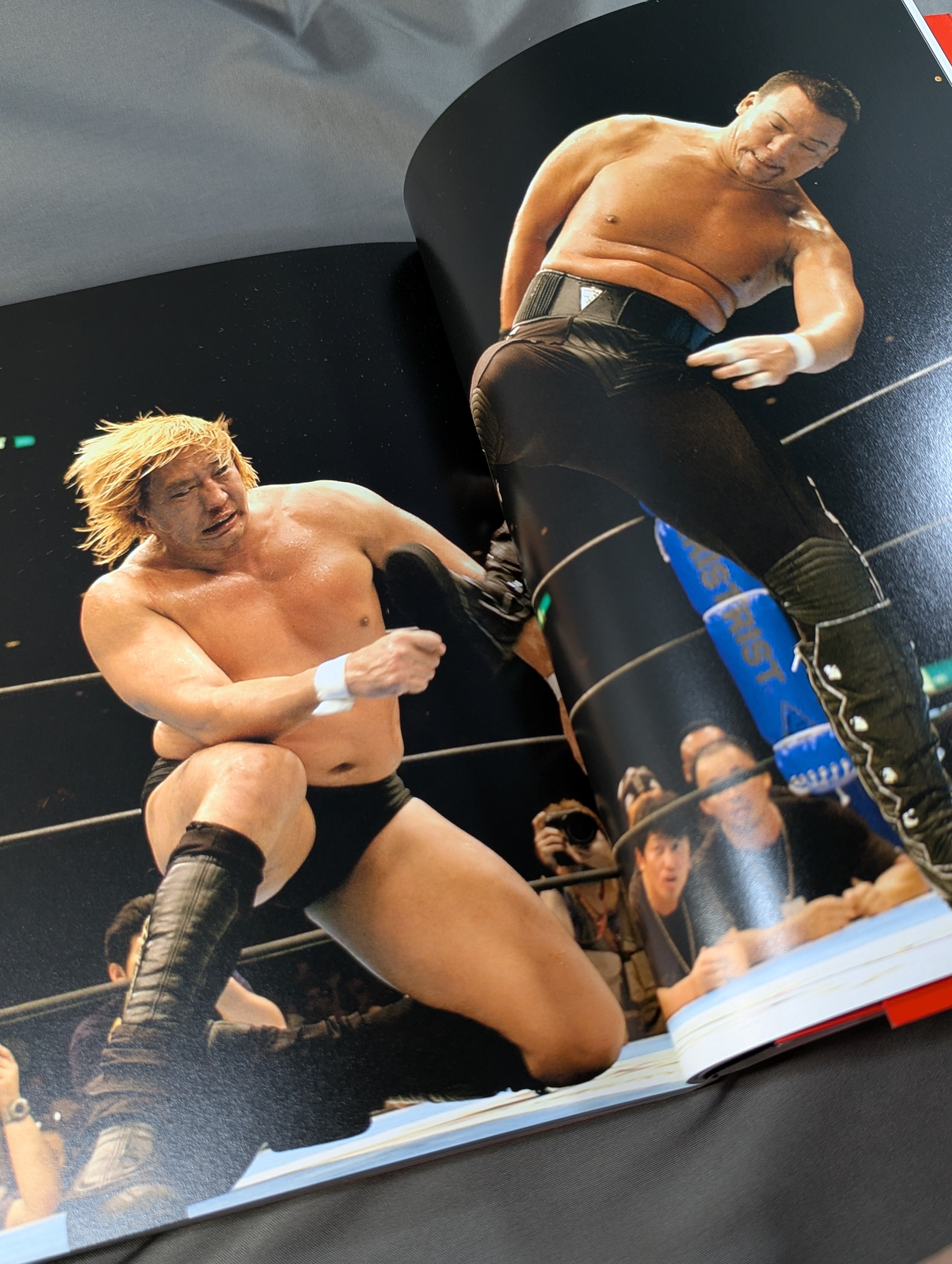 【直筆サイン入り】新日本プロレス 蝶野正洋 ソフトビニール人形 フィギュア 直筆サイン入り】蝶野正洋 写真集 CHONO BIBLE – 闘道館