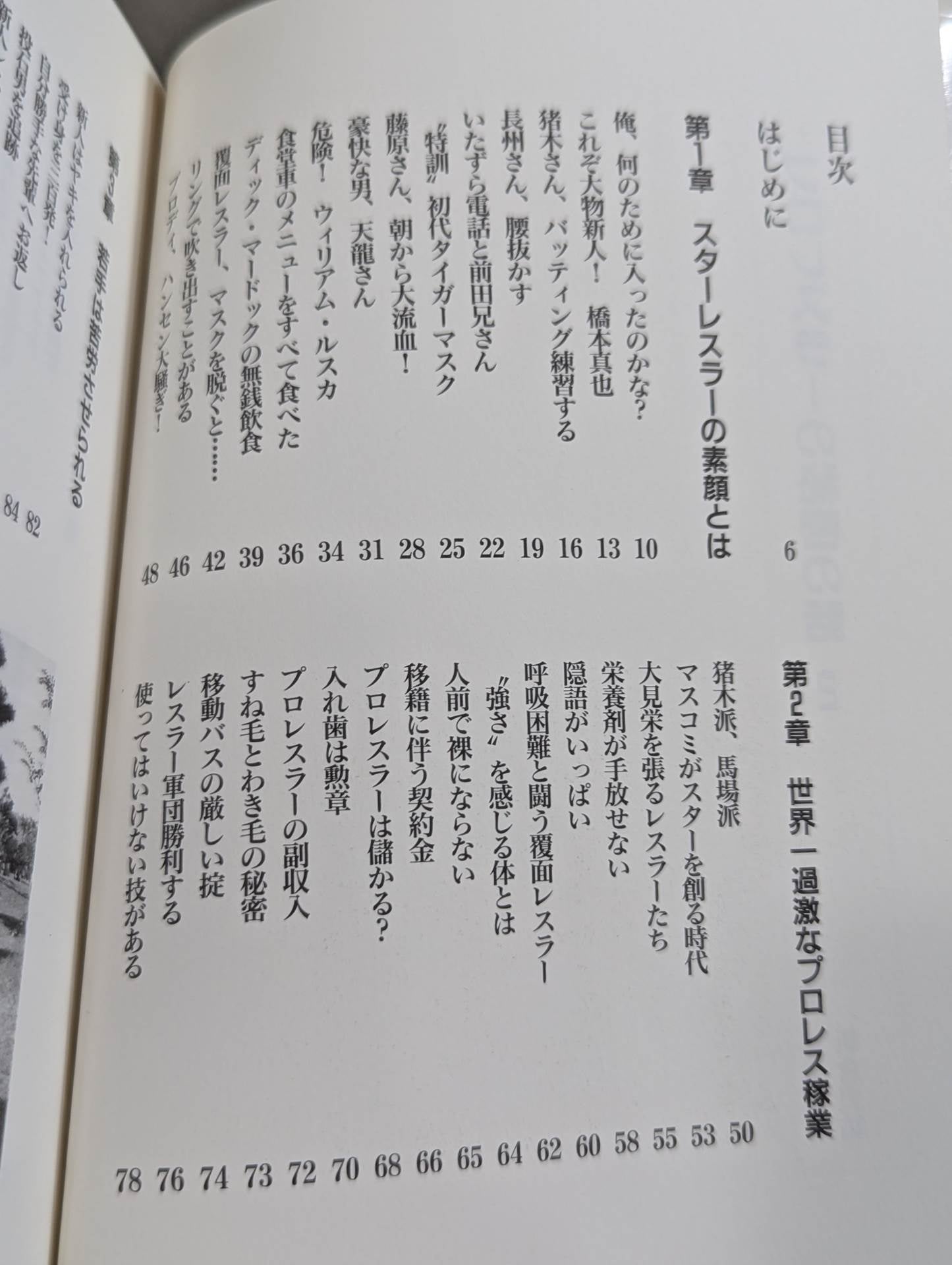 Pro Wrestler's Secret Story 2