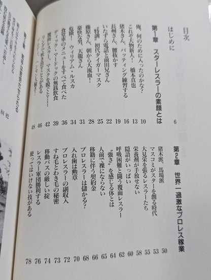 Pro Wrestler's Secret Story 2