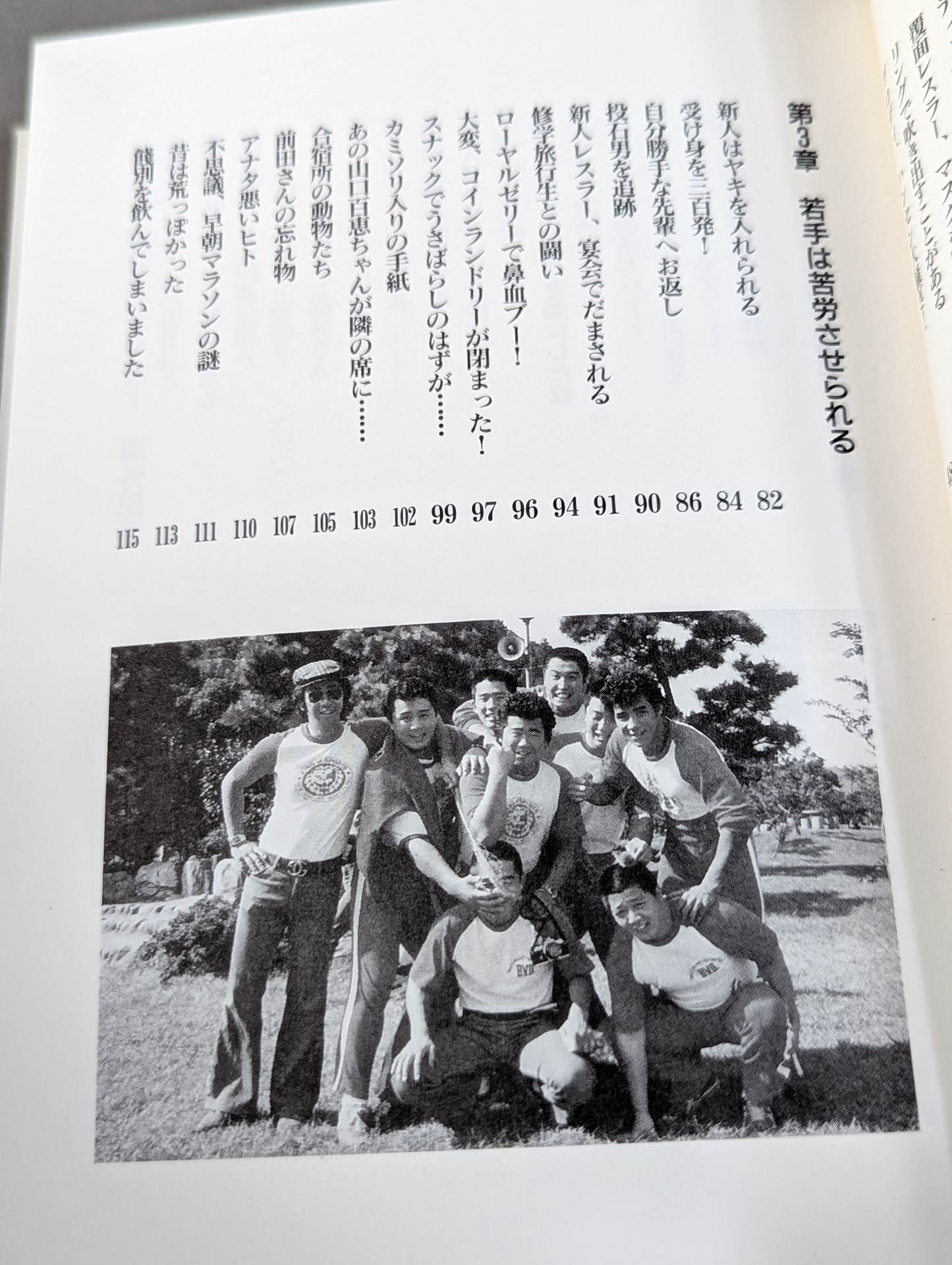 Pro Wrestler's Secret Story 2