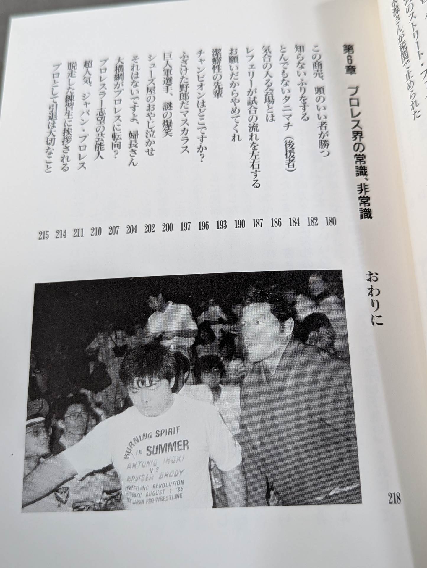 Pro Wrestler's Secret Story 2