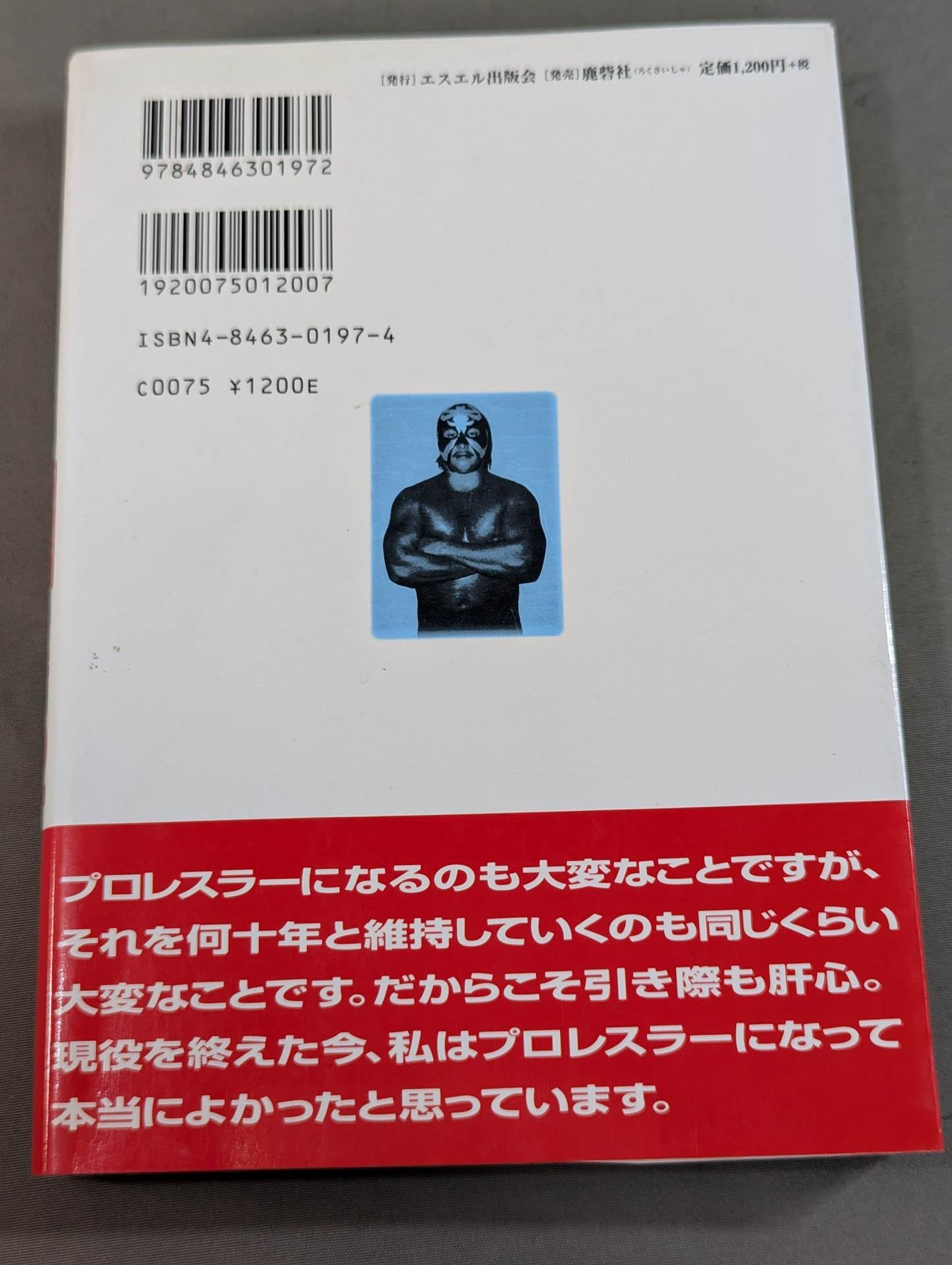 Pro Wrestler's Secret Story 2